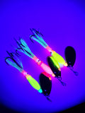 Squid-10