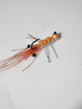 Scented shrimp #4
