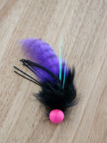 Purple  raccoon