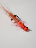 shrimp #1